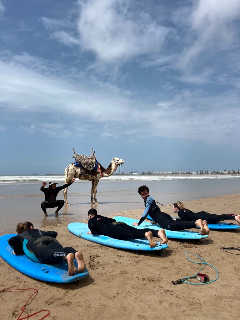 Surf lesson on Essaouira beach with instructor, students on boards and a camel on the sand